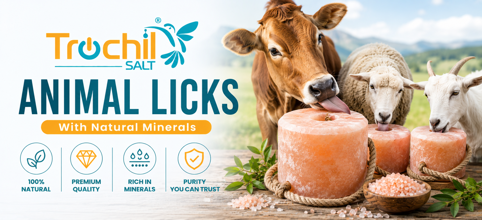 Animal Licks